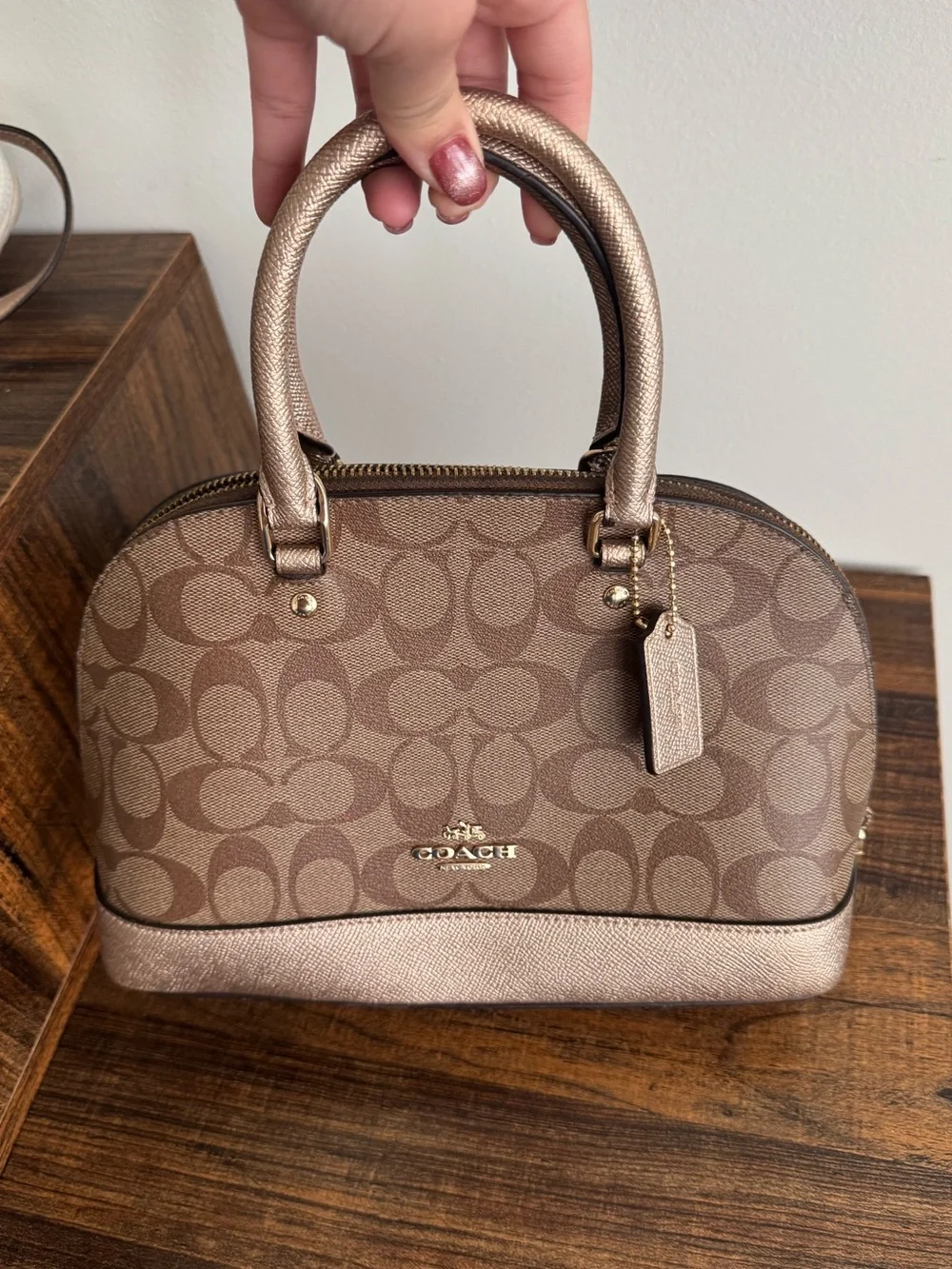 Brown Coach Purse and Wristlet